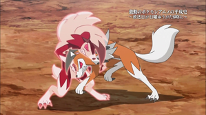 鬃岩狼人決戰!小智VS格拉吉歐!! (日月 第105集文字版) 鬃岩狼人決戰!小智VS格拉吉歐!! (日月 第105集文字版)