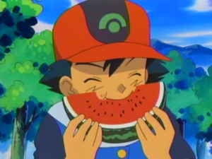 木守宮的新絕招,西瓜田的種子機關槍! (超世代第41集文字版) 木守宮的新絕招,西瓜田的種子機關槍! (超世代第41集文字版)