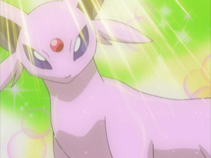 神奇寶貝華麗大賽・金黃大會(前篇) (超世代第143集文字版) 神奇寶貝華麗大賽・金黃大會(前篇) (超世代第143集文字版)