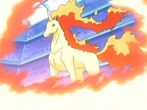 開幕!寶可夢華麗大賽.華麗大型慶典!! (超世代第180集文字版) 開幕!寶可夢華麗大賽.華麗大型慶典!! (超世代第180集文字版)