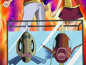 最強的鯉魚王和…最美麗的笨笨魚 (鑽石&珍珠第21集文字版) 最強的鯉魚王和…最美麗的笨笨魚 (鑽石&珍珠第21集文字版)