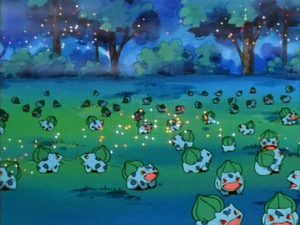 妙蛙種子的不可思議花園 (無印篇第51集文字版) 妙蛙種子的不可思議花園 (無印篇第51集文字版)