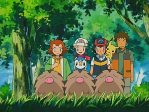 小山豬三重奏與溫泉霧氣對戰!! (鑽石&珍珠第63集文字版) 小山豬三重奏與溫泉霧氣對戰!! (鑽石&珍珠第63集文字版)