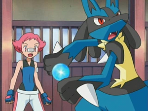 帷幕道館!路卡利歐對泳氣鼬!! (鑽石&珍珠第68集文字版) 帷幕道館!路卡利歐對泳氣鼬!! (鑽石&珍珠第68集文字版)