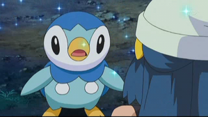 神奇寶貝華麗大賽.立浪大會!! (鑽石&珍珠第123集文字版) 神奇寶貝華麗大賽.立浪大會!! (鑽石&珍珠第123集文字版)