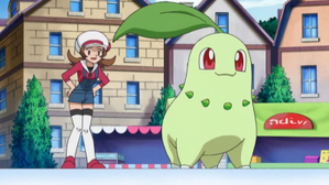 攻破地窖!?山谷間的發電廠! (鑽石&珍珠第144集文字版) 攻破地窖!?山谷間的發電廠! (鑽石&珍珠第144集文字版)