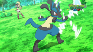 可爾妮與路卡利歐!超進化的秘密!! (XY 第30集文字版) 可爾妮與路卡利歐!超進化的秘密!! (XY 第30集文字版)