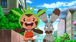 哈力栗!第一次跑腿!! (XY 第84集文字版) 哈力栗!第一次跑腿!! (XY 第84集文字版)