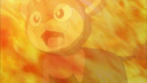 小獅獅與火炎獅!烈焰的啟程!! (XY&Z 第4集文字版) 小獅獅與火炎獅!烈焰的啟程!! (XY&Z 第4集文字版)