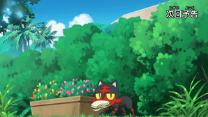 市集的漫遊者火斑喵! (日月 第7集文字版) 市集的漫遊者火斑喵! (日月 第7集文字版)