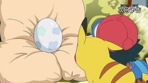 誰是蛋的照顧者? (日月 第8集文字版) 誰是蛋的照顧者? (日月 第8集文字版)